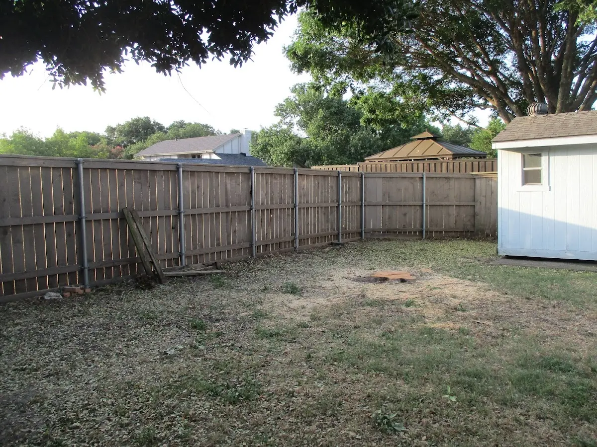 Cleared yard after professional tree removal in Pasco