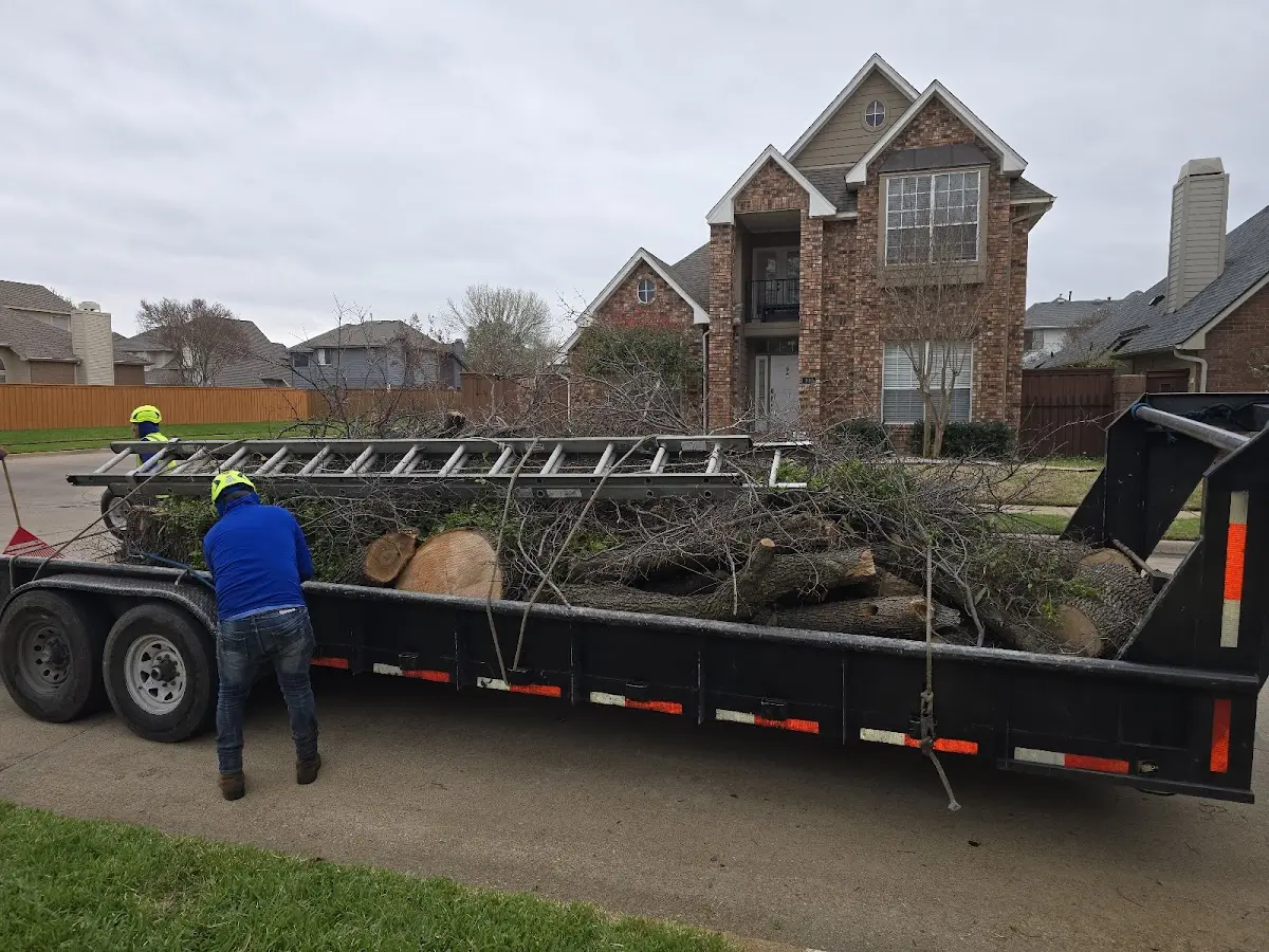 Expert Tree Fertilization with proper safety equipment in Pasco